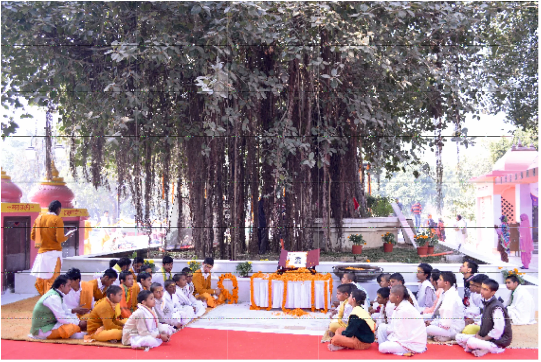 Visitors gathered for spiritual programmes beneath the sacred tree at Jyotisar